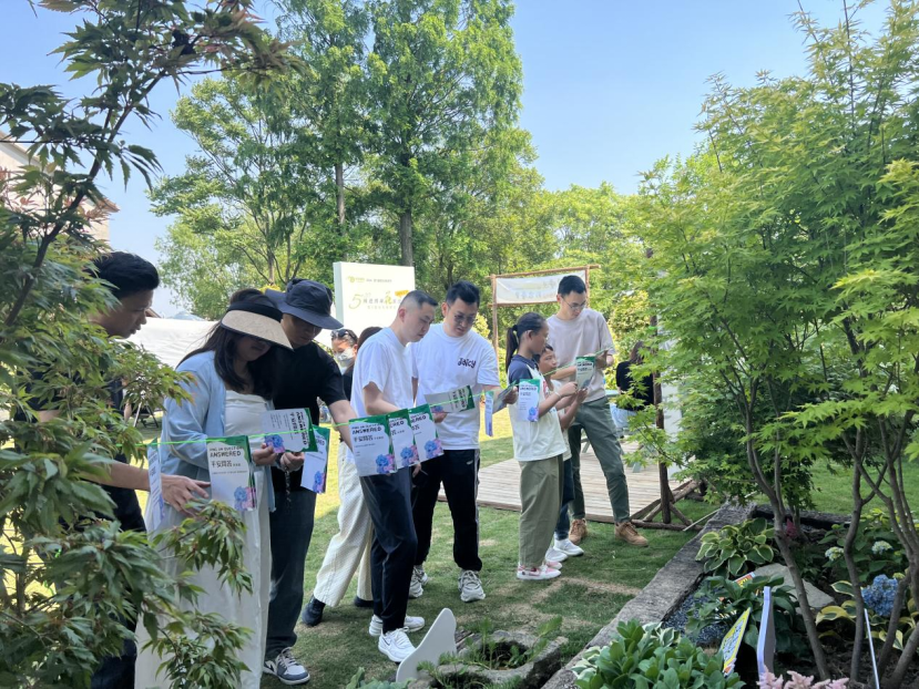 浙江省桐乡市：绣球花开无尽夏，反邪宣传同心行228.png