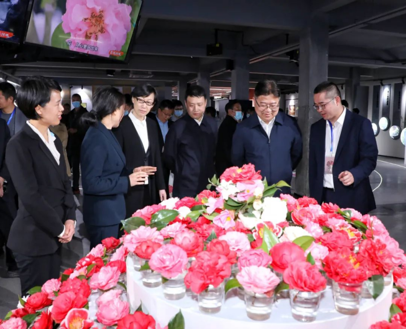 浙江省金华市暨婺城区茶花节上的反邪教音符1471.png