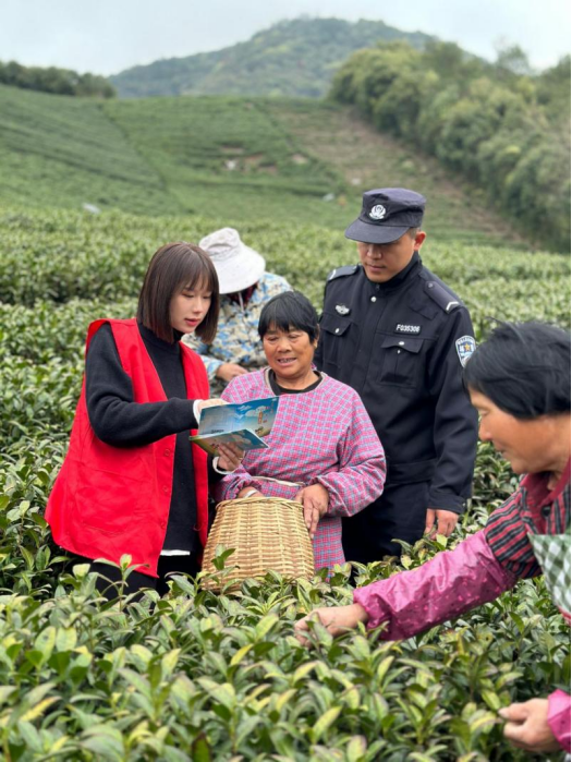 采茶简讯3.24521.png